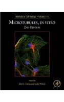 Microtubules, in Vitro