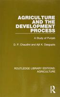 Agriculture and the Development Process