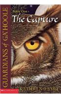 Capture (Guardians of Ga'hoole #1)