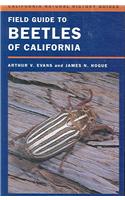 Field Guide to Beetles of California