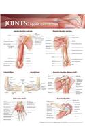 Joints of the Upper Extremities Anatomical Chart