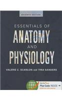 Essentials of Anatomy and Physiology