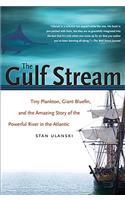 The Gulf Stream