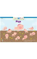 Pigs: (3629 Fun & Fantasy)