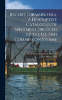 Recent Foraminifera. A Descriptive Catalogue of Specimens Dredged by the U.S. Fish Commission Steame