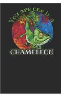 You Are One in a Chameleon
