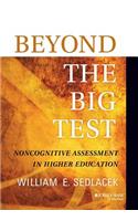 Beyond the Big Test