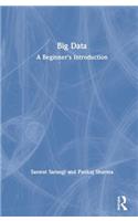 Big Data: A Beginner's Introduction