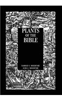 Plants Of The Bible