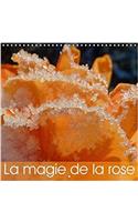 La Magie de la Rose 2017