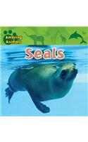 Seals