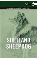 The Shetland Sheepdog - A Complete Anthology of the Dog: (English)
