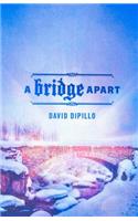 Bridge Apart