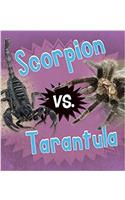 Scorpion vs. Tarantula
