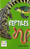 Reptiles: (Engage Literacy Gold)