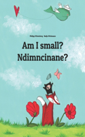 Am I small? Ndimncinane?