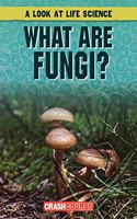 What Are Fungi?