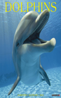 Dolphins 2021 Wall Calendar