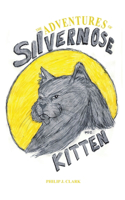 Adventures of Silvernose Kitten