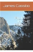 A Light in the Forest