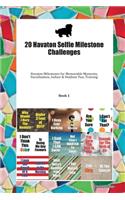 20 Havaton Selfie Milestone Challenges: Havaton Milestones for Memorable Moments, Socialization, Indoor & Outdoor Fun, Training Book 1