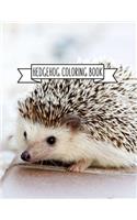 Hedgehog Coloring Book: Hedgehog Lover Gifts for Toddlers, Kids or Adult Relaxation - Cute Stress Relief Animal Birthday Coloring Book Made in USA