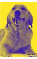 Notebook: Golden Retriever Dog Family Pet Notepad (Yellow)