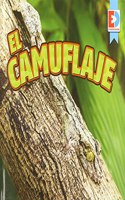 Camuflaje (Camouflage)