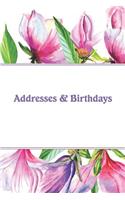 Addresses & Birthdays