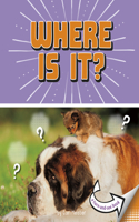 Where Is It