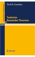 Tauberian Remainder Theorems