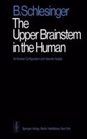 The Upper Brainstem in the Human