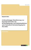 Größenabhängige Klassifizierung von Kapitalgesellschaften für Rechnungslegungs- und Publizitätspflichten unter besonderer Berücksichtigung des MicroBilG: (German)