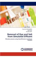 Removal of Dye and Salt from Simulated Effluent
