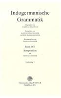 Indogermanische Grammatik / Band IV