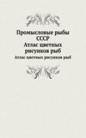 Promyslovye ryby SSSR