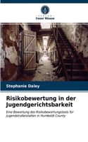 Risikobewertung in der Jugendgerichtsbarkeit