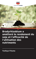 Bradyrhizobium a amélioré le rendement du soja et l'efficacité de l'utilisation des nutriments