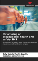 Structuring an occupational health and safety SMS
