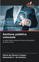 Gestione pubblica comunale