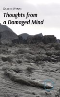 THOUGHTS FROM A DAMAGED MIND: (DRAW SPACES)