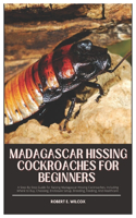 Madagascar Hissing Cockroaches for Beginners