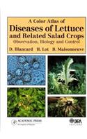 A Color Atlas of Diseases of Lettuce and Related Salad Crops