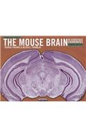 Paxinos and Franklin's the Mouse Brain in Stereotaxic Coordinates