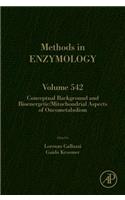 Conceptual Background and Bioenergetic/Mitochondrial Aspects of Oncometabolism: (Methods in Enzymology)