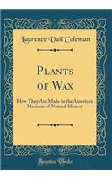 Plants of Wax: How They Are Made in the American Museum of Natural History (Classic Reprint)