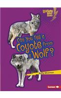 Can You Tell a Coyote from a Wolf
