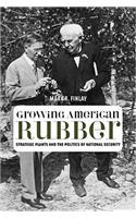 Growing American Rubber