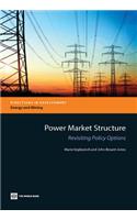 Power Market Structure