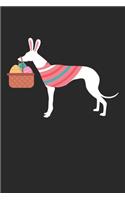 Greyhound Journal - Greyhound Notebook - Easter Gift for Greyhound Lovers: Unruled Blank Journey Diary, 110 page, Lined, 6x9 (15.2 x 22.9 cm)